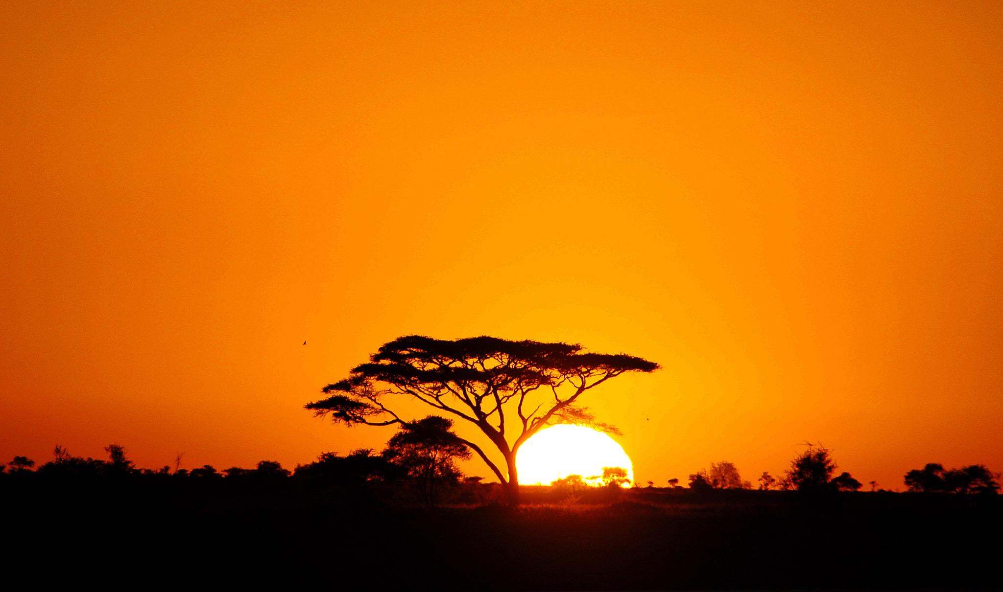 Tanzania Experience Instagram