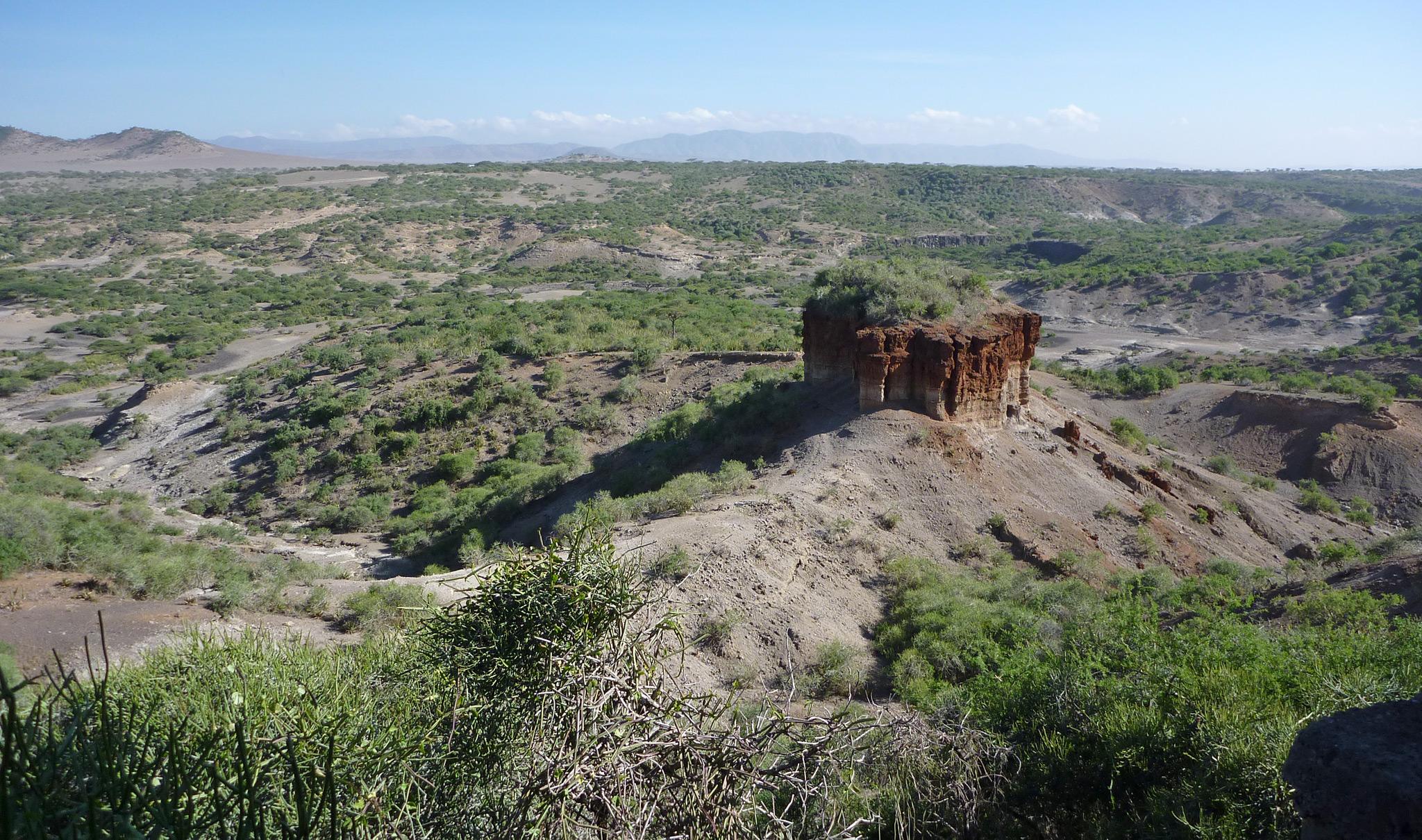 Olduvai Schlucht