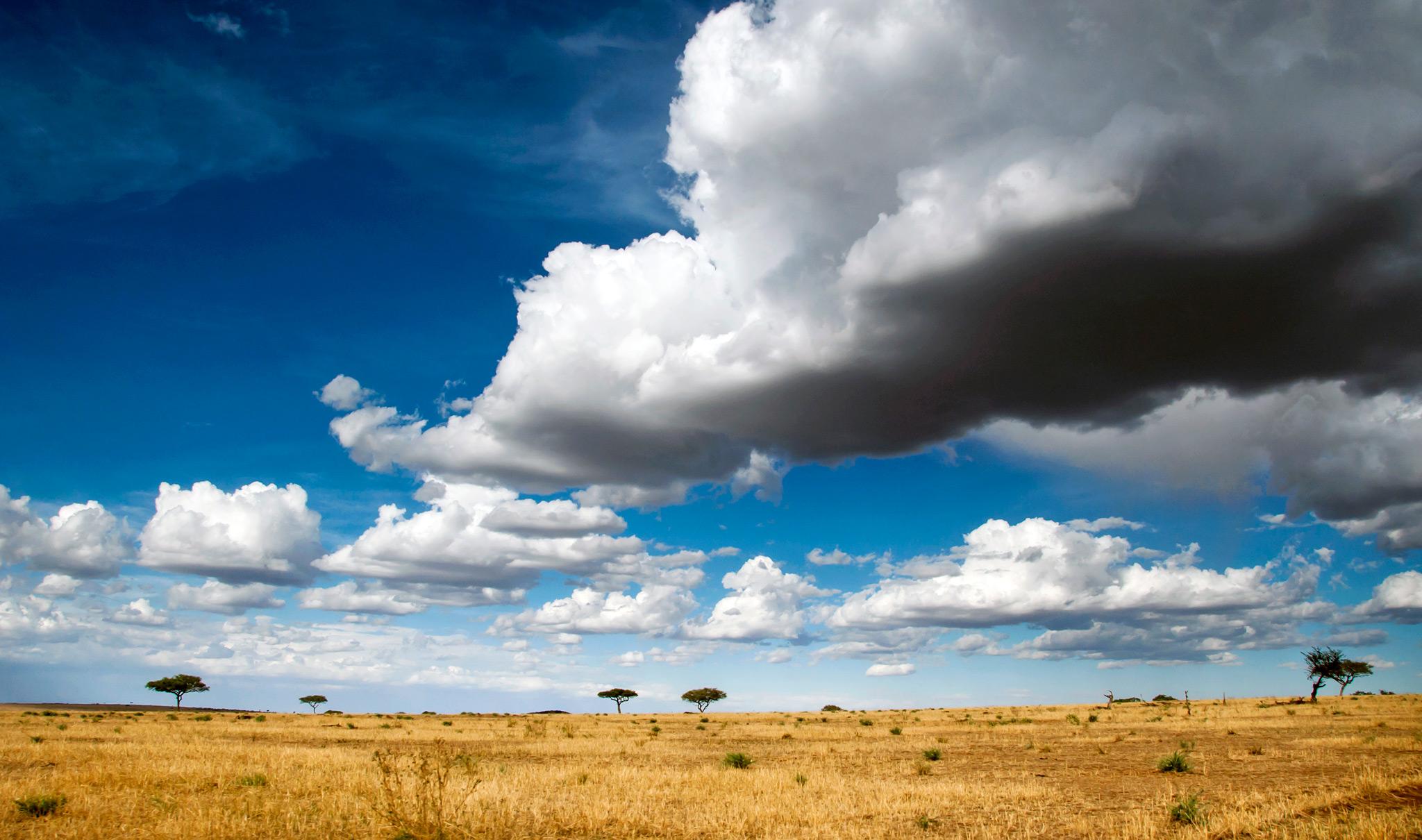 Hadzabe - Lake Eyasi in Tanzania