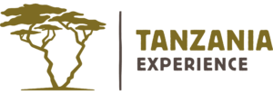 Tanzania-Experience Logo