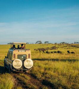 Classic game drive in the Serengeti National Park