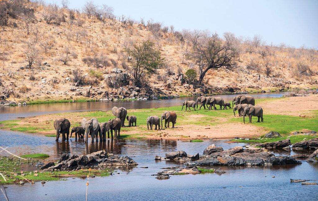 tanzania safari book