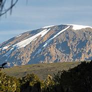 Feedback Kilimanjaro climb