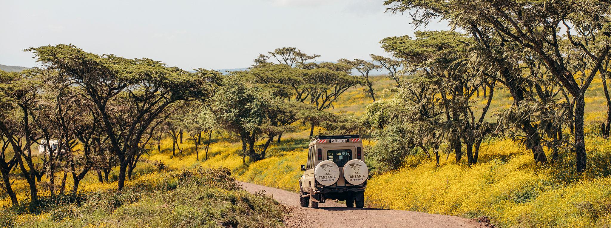 Getting to Tanzania and getting around