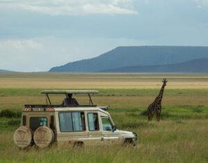 Game drive on small group Tanzania safari