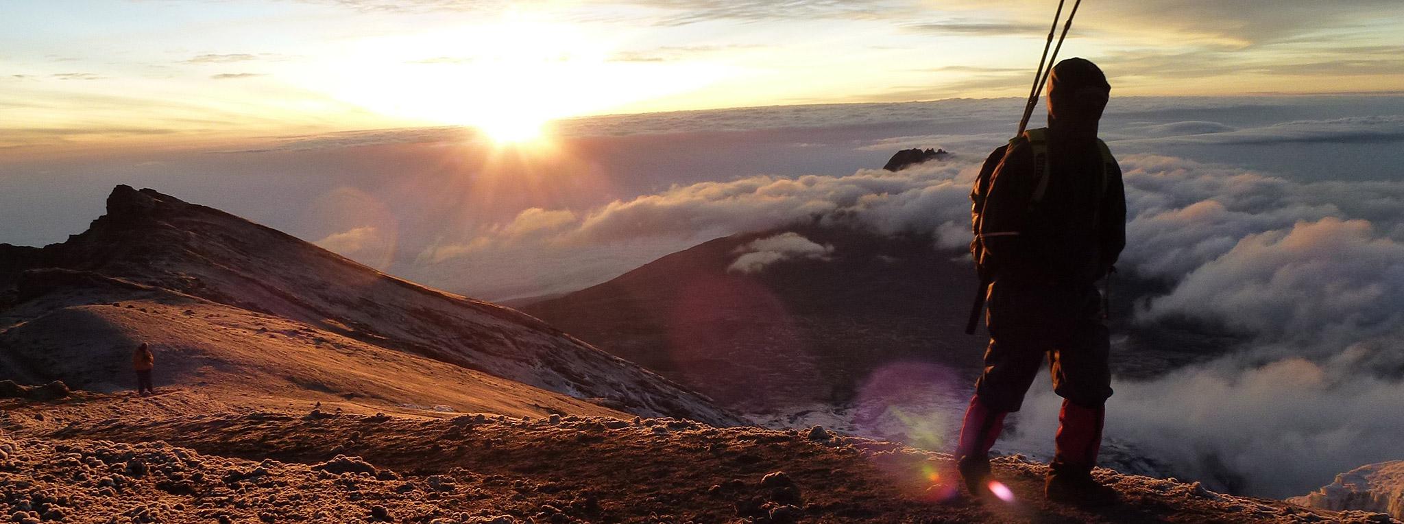 Kilimanjaro guided hikes hot sale