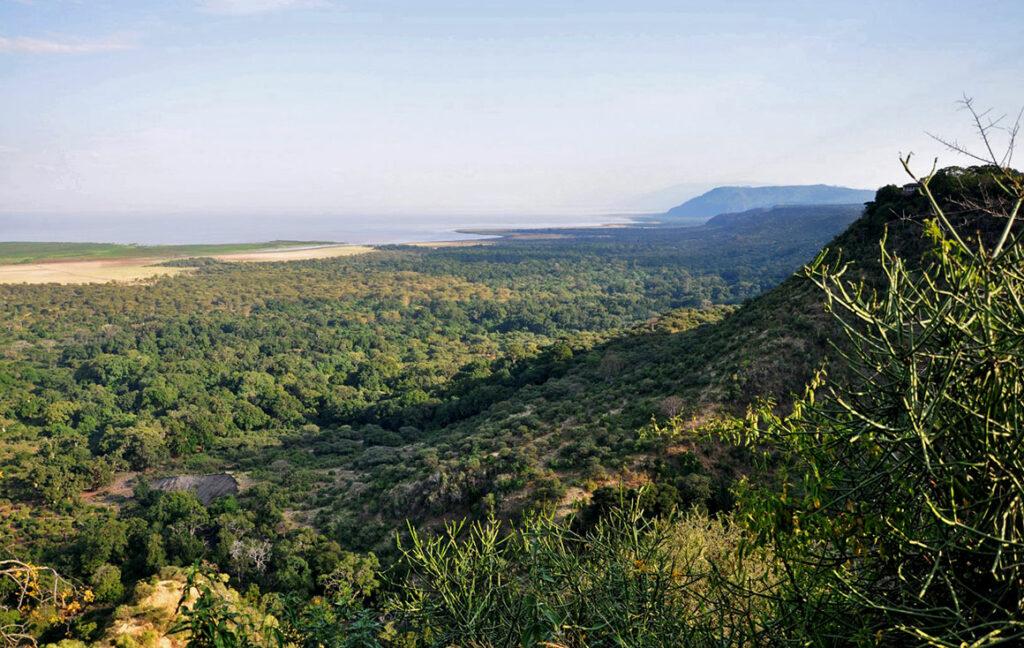 tanzania safari book