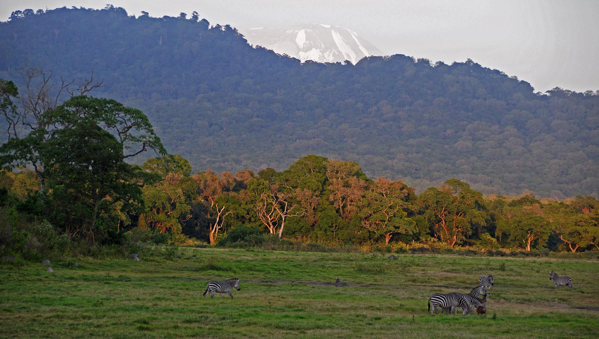 Arusha National Park In Tanzania Safaris Travel Guide Arusha National Park In Tanzania Safaris Travel Guide