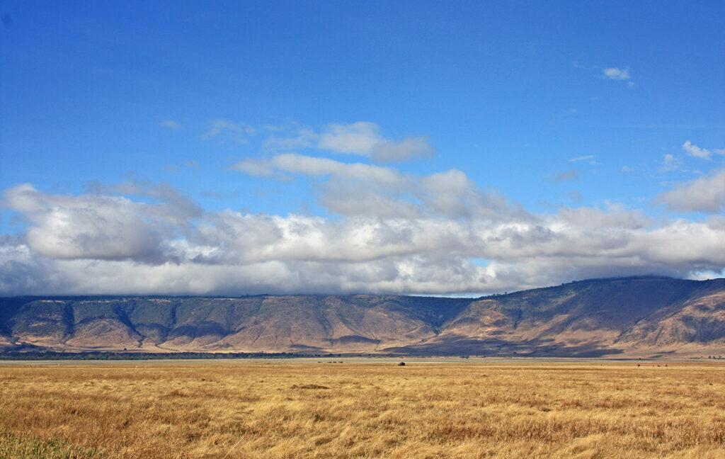 tanzania safari book