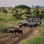 Tanzania-Experience safari vehicle
