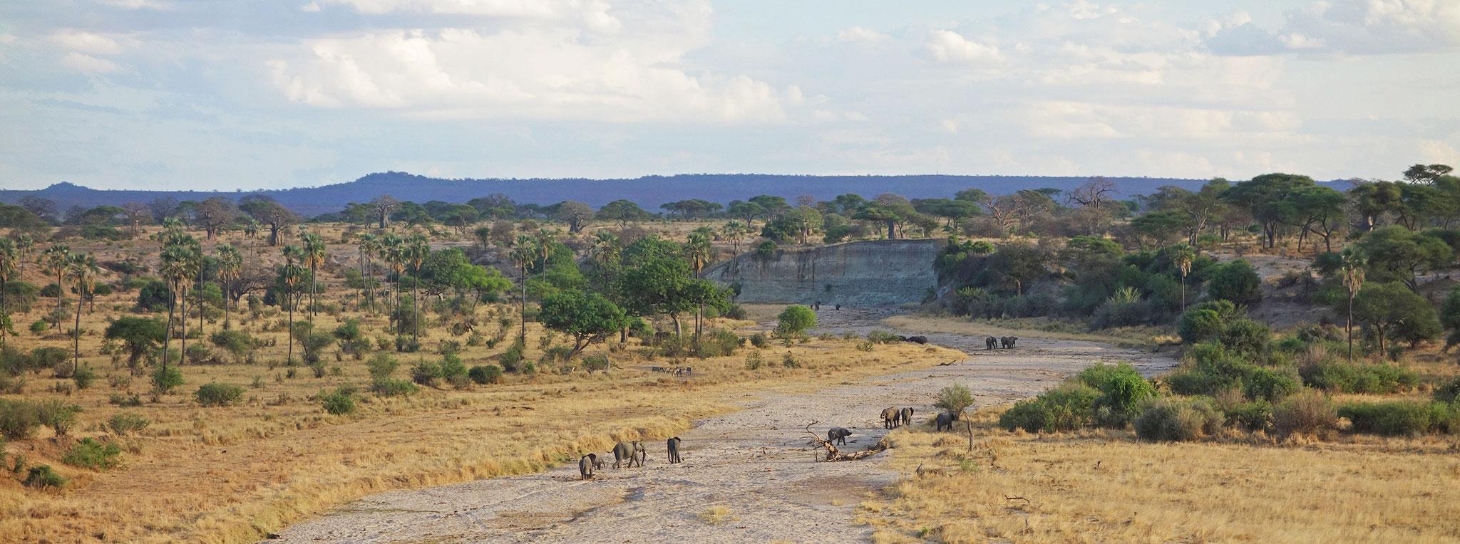 View of Tarangire National Park