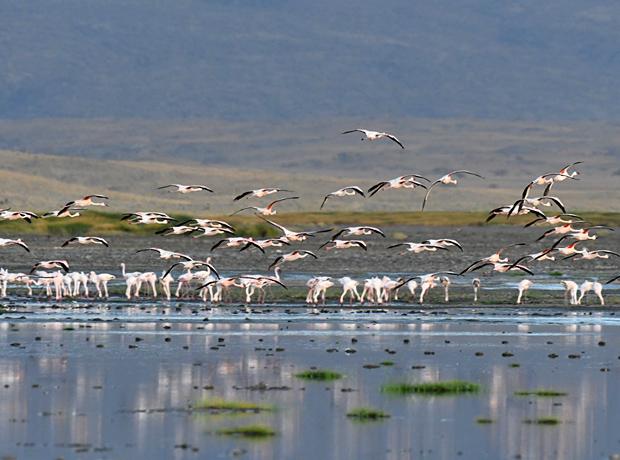 Lake Natron Tanzania