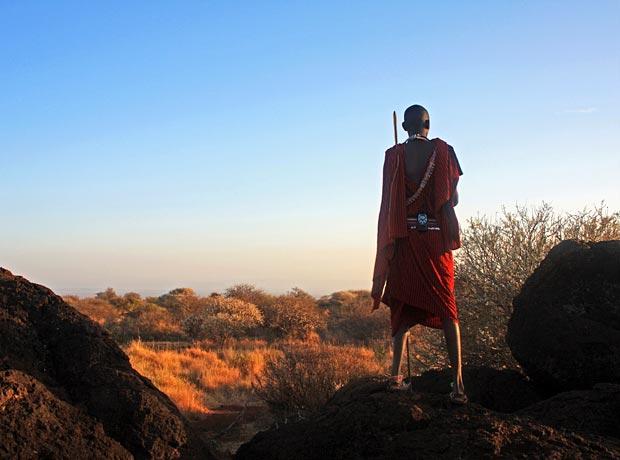 Maasai herder savanna