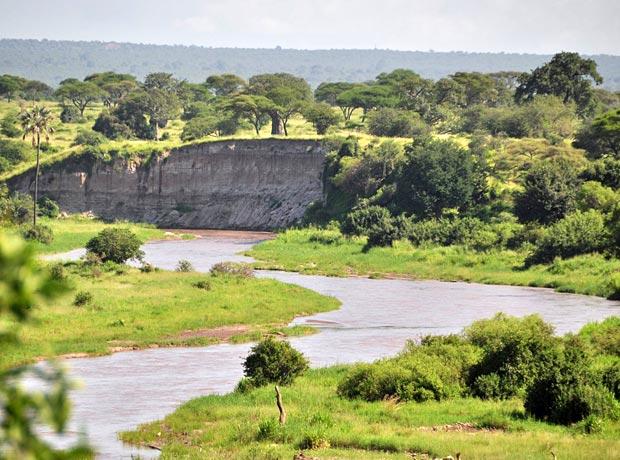 Tarangire river Tanzania
