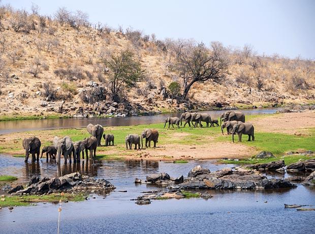 Ruaha Nationalpark Tansania