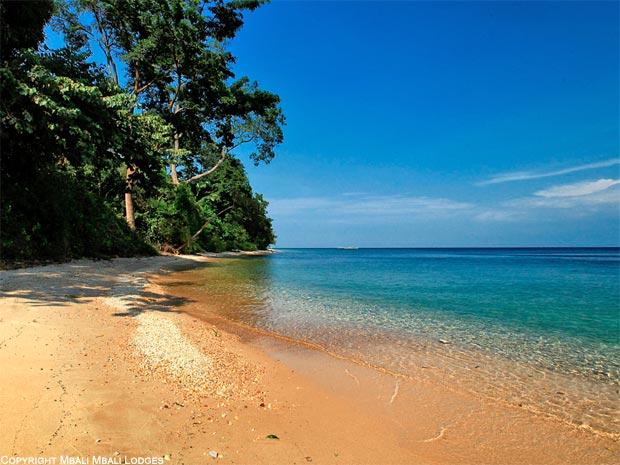 Gombe Stream Tanganyika