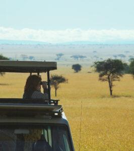 Classic game drive Tanzania safari tour