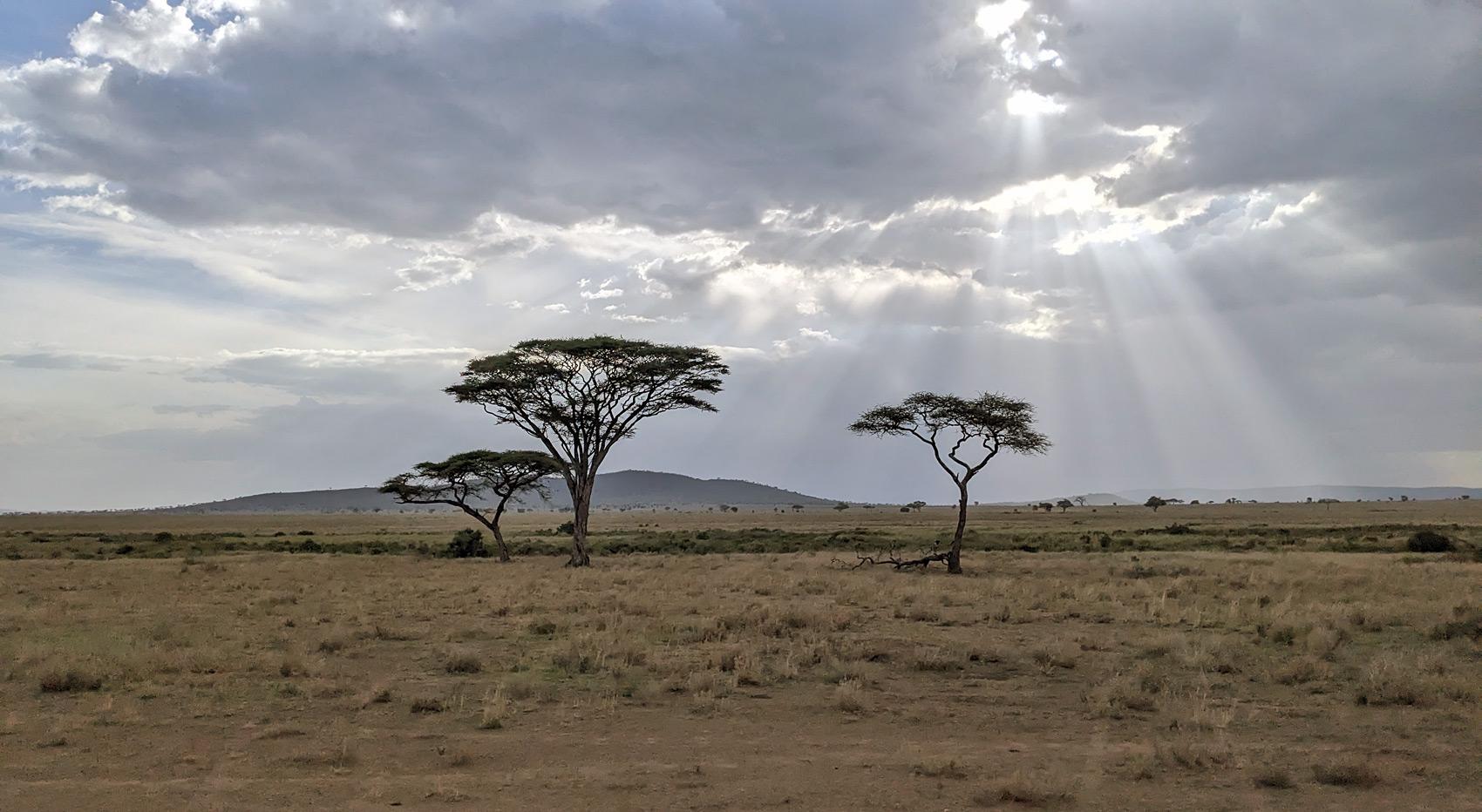Landscape in Tanzania