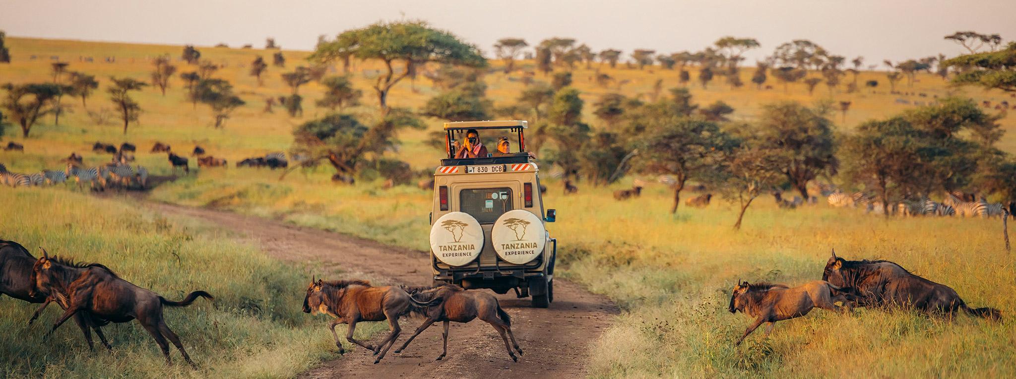 Tansania 4x4-Lodge-Safari