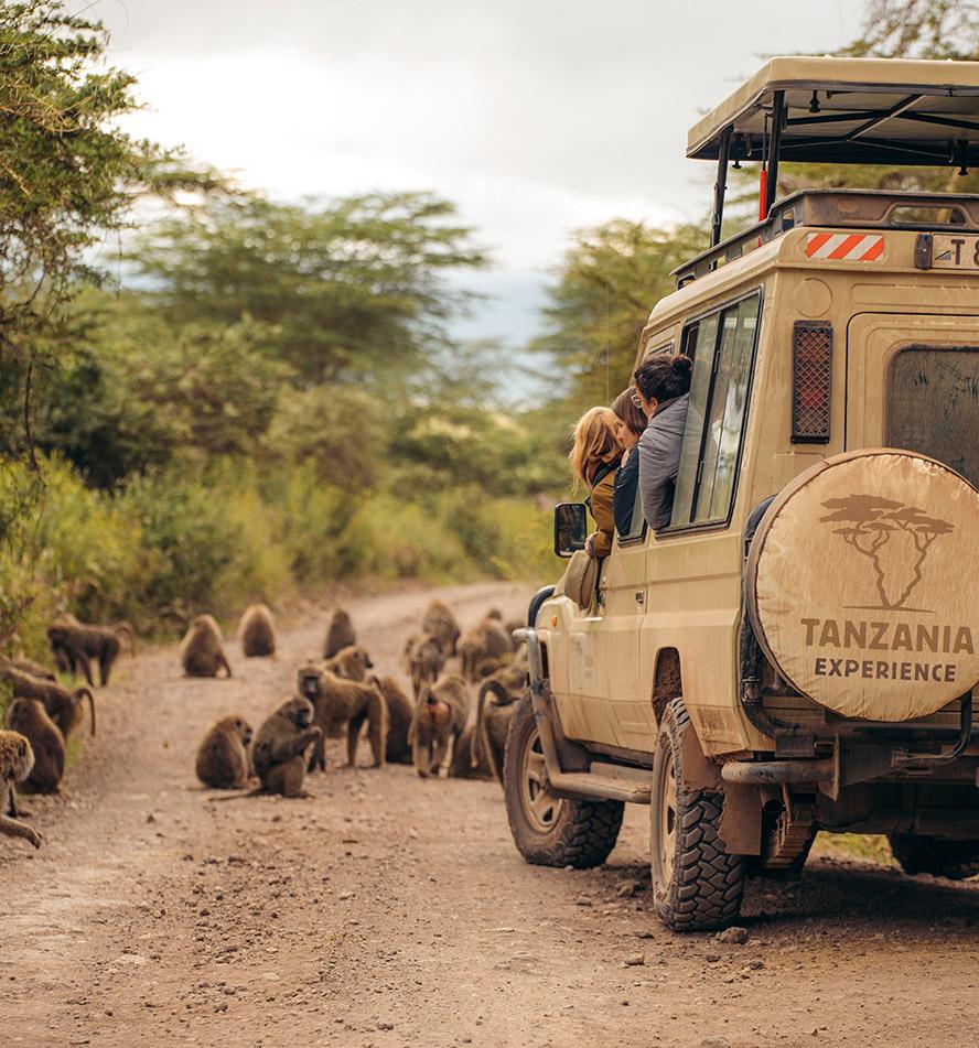 Kleinstgruppen Safari