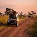 Game drive on 4 day classic Tanzania safari