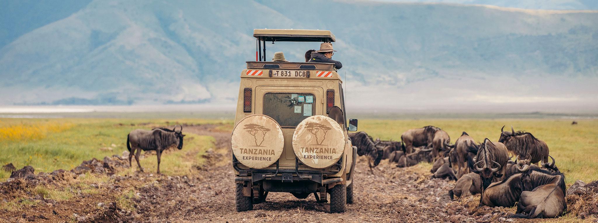 game drive on 3 day Tanzania safari