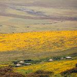 Ngorongoro Conservation Area