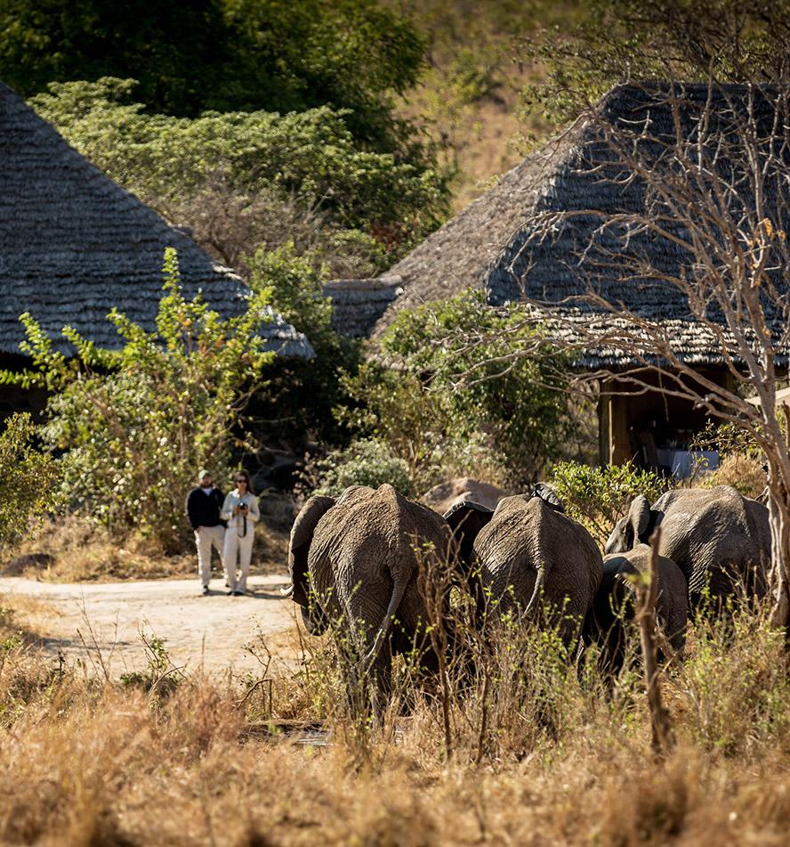 Tarangire Nationalpark