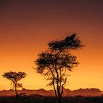 Sunset on 6 day Tanzania safari