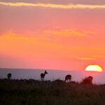 Sunset Masai Mara Kenya