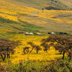 Landscape Ngorongoro Conservation Area