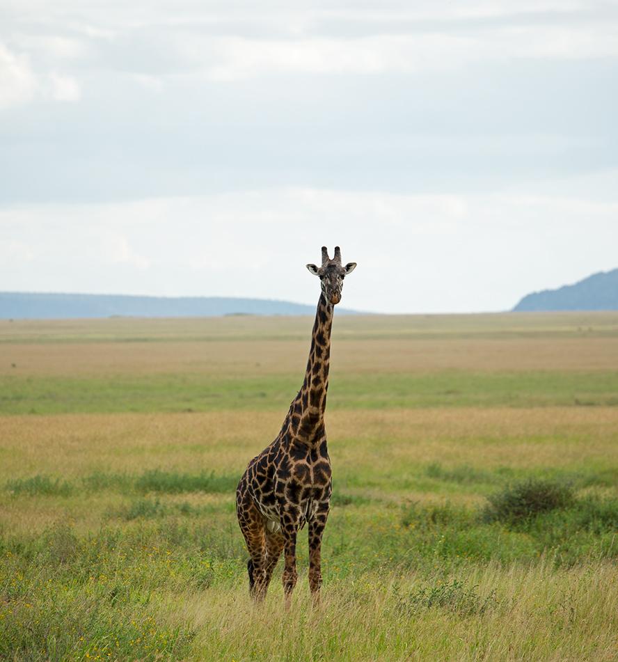 Serengeti National Park