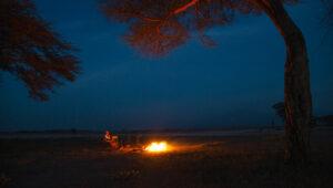 Campfire at night