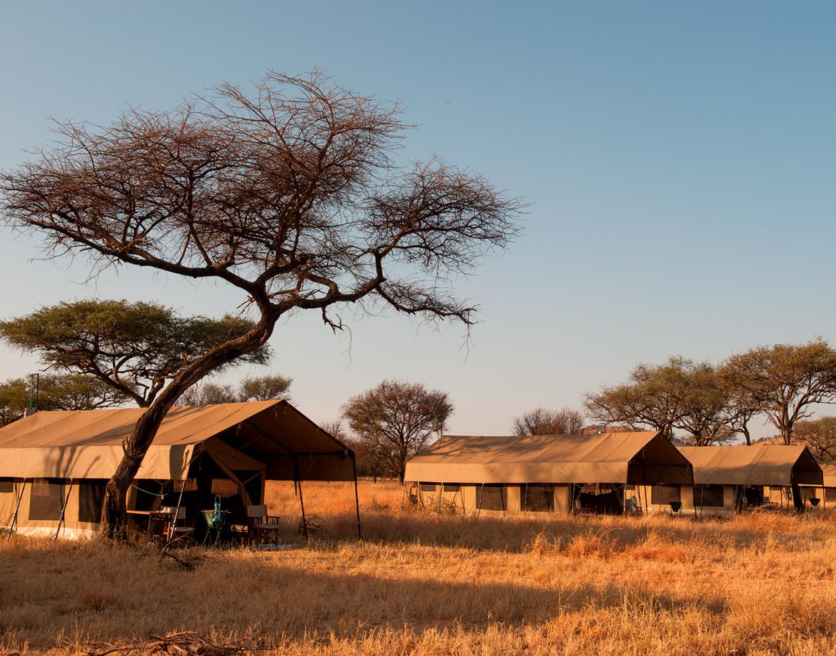 Tents at Serengeti Kati Kati Camp