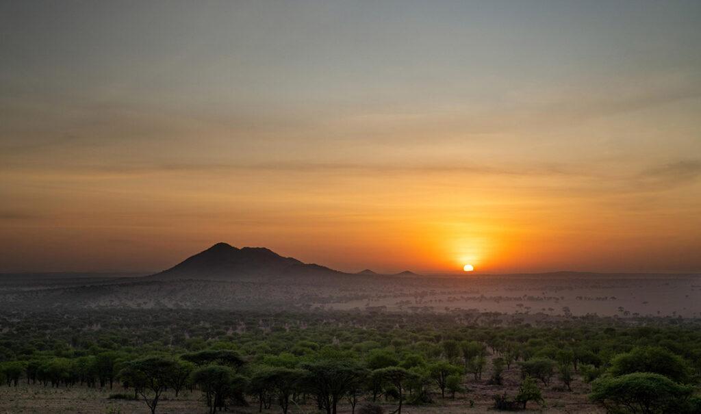 luxury safari in tanzania