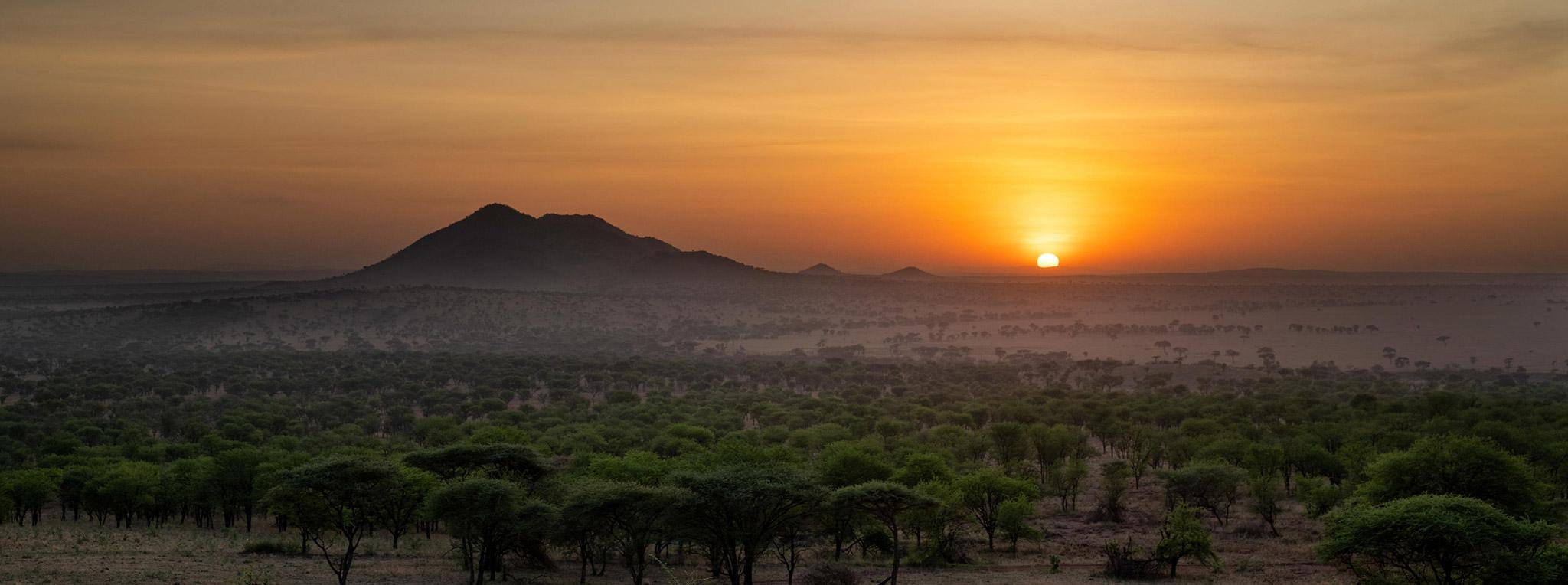 Serengeti sunset luxury safari