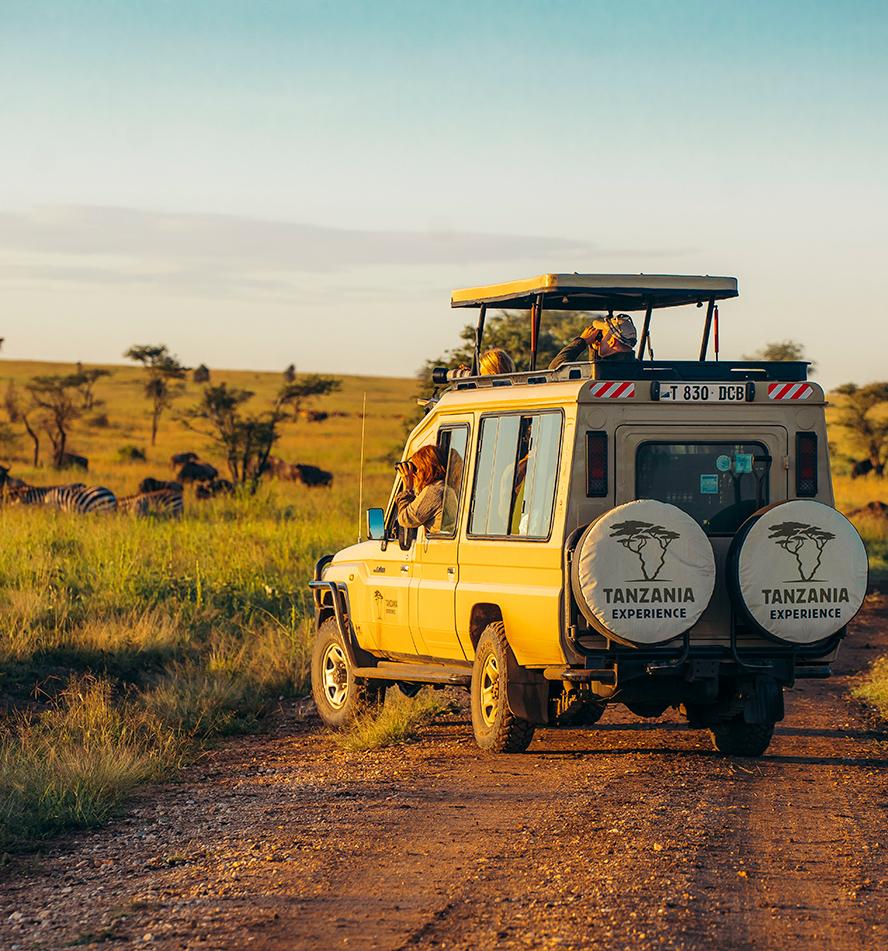 Kleinstgruppen Safari