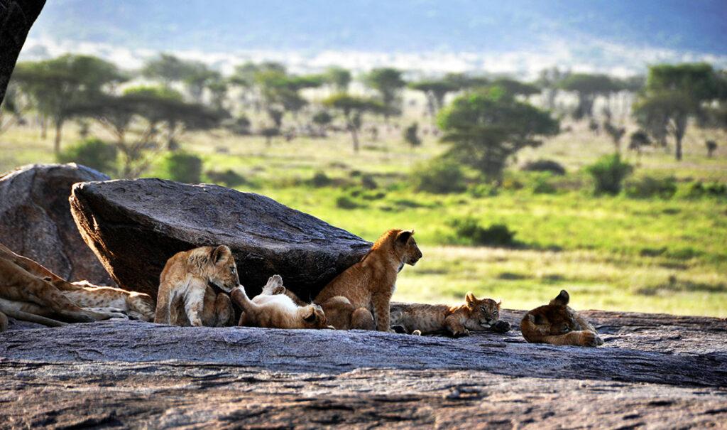 small group safari kenya and tanzania