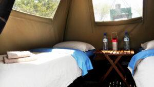 Beds and tent on tented camp safari