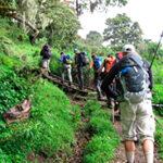 Hiking trail on Mt Meru