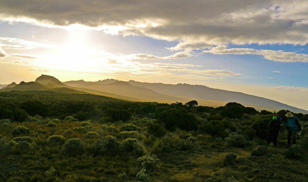 kilimanjaro trekking tour