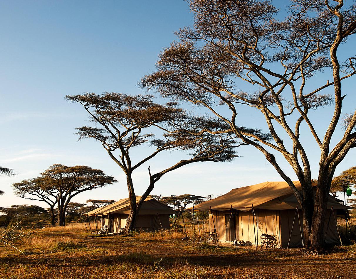 Mara under Canvas Serengeti