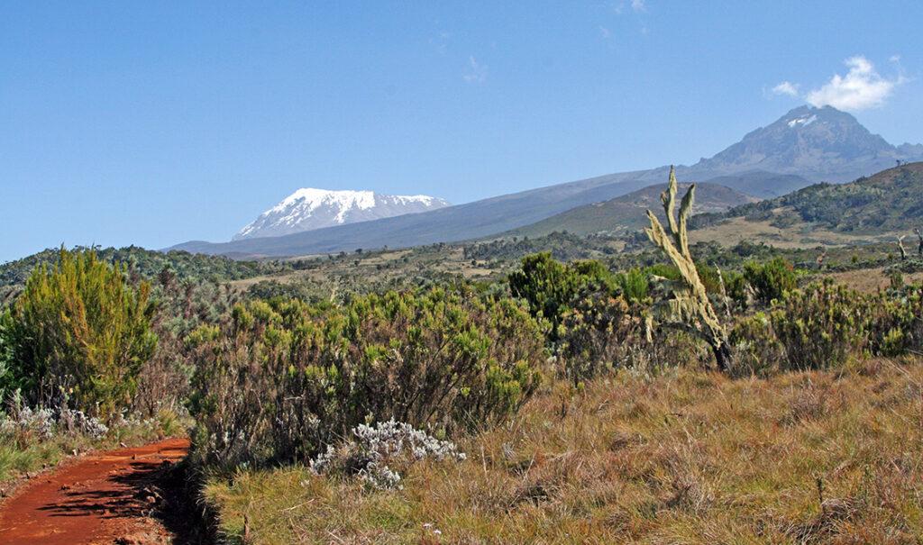 kilimanjaro trekking tour