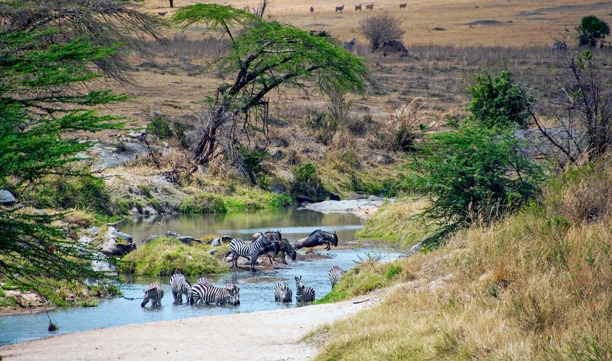 Tanzania in October