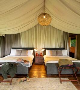 Lemala Ngorongoro
