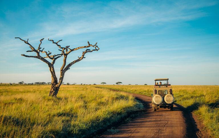 Understanding Tanzania Safari Weather - Way 2 Tanzania