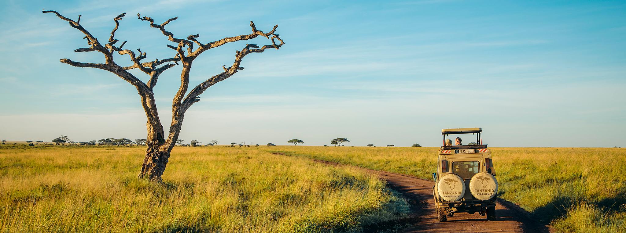 Private Tanzania Safari