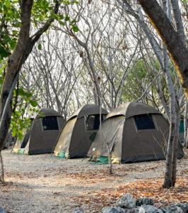 Tents on public campsite in Tanzania