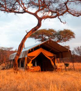 Serengeti Kati Kati Camp