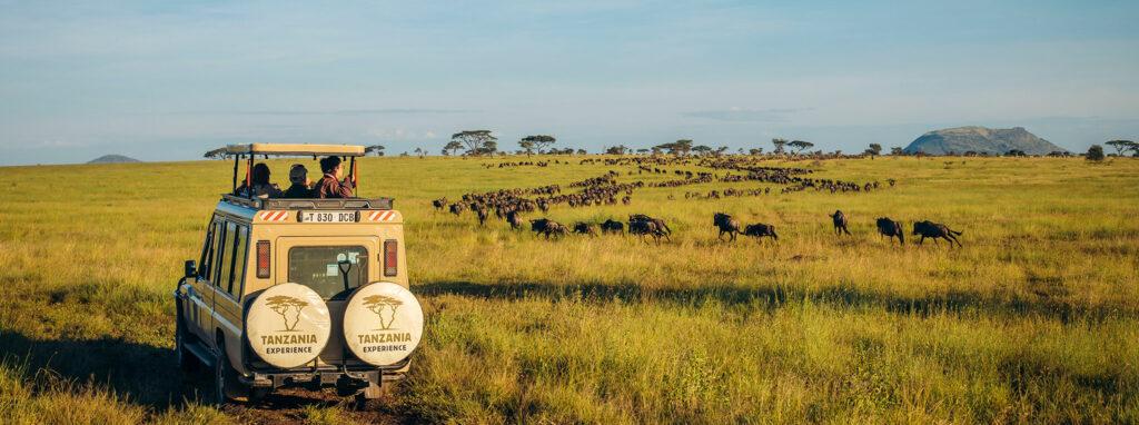 Serengeti National Park Travel Guide & Safari Tours